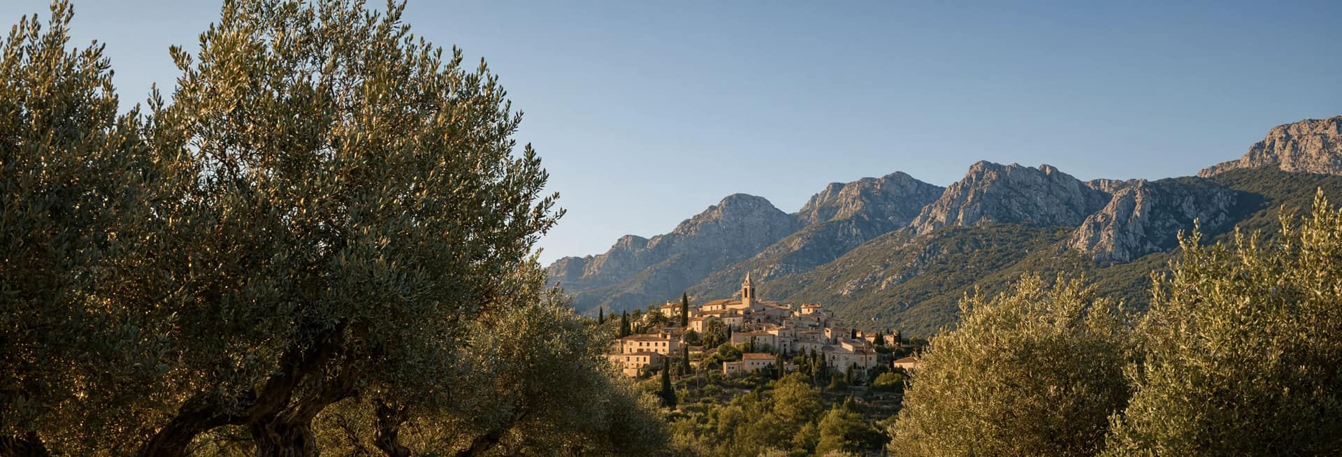 Radfahrer zwischen Trockensteinmauern und Olivenbäumen mit einem Dorf in den Bergen im Hintergrund, Mallorca